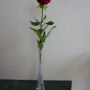 rose pour la fête des mères dans un vase soliflore gravé par sablage