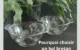 Pourquoi choisir un bol breton en verre gravé à Saint-Brieuc ?