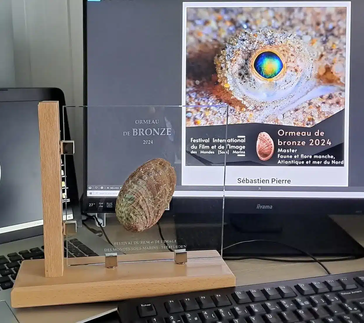Ormeau de Bronze 2024